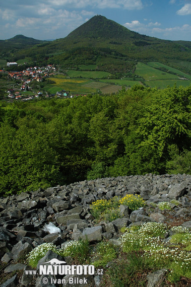 Gærde-Stenbræk