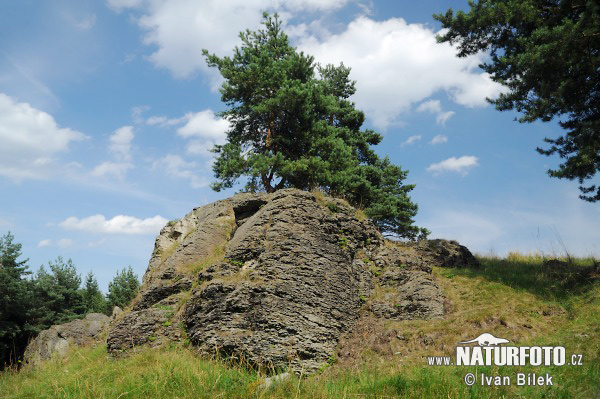 Natural monument Domin´s Rock (Sla)