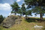 Natural monument Domin´s Rock