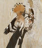 Hoopoe