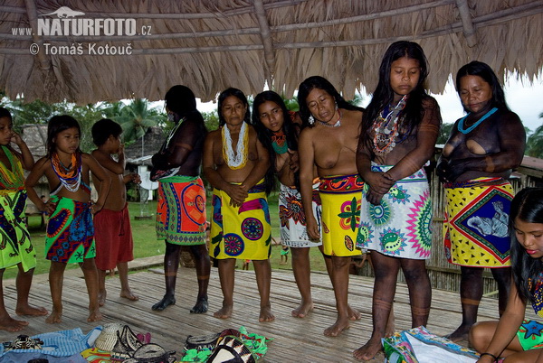 Embera