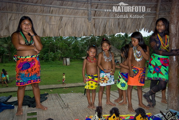 Embera