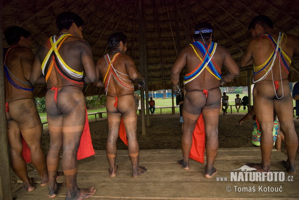 Embera