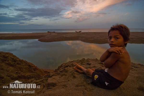 Embera