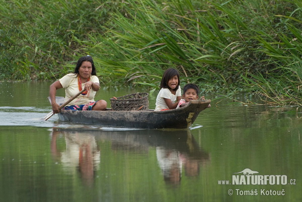 Embera