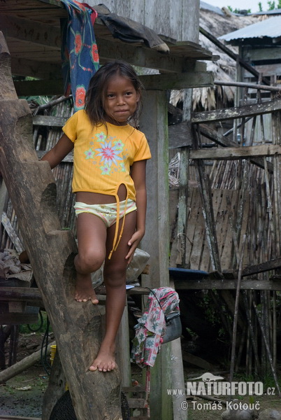 Embera