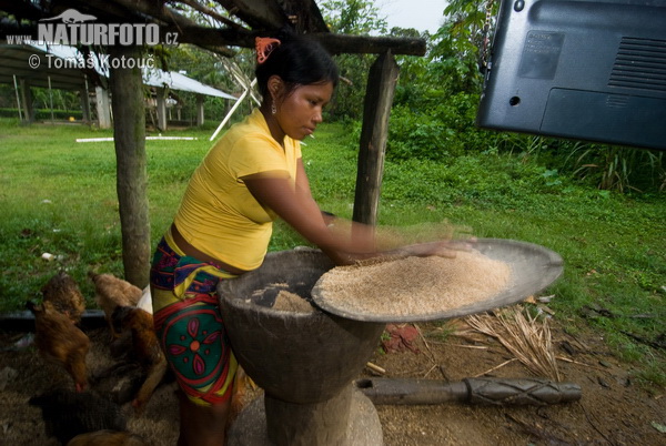 Embera