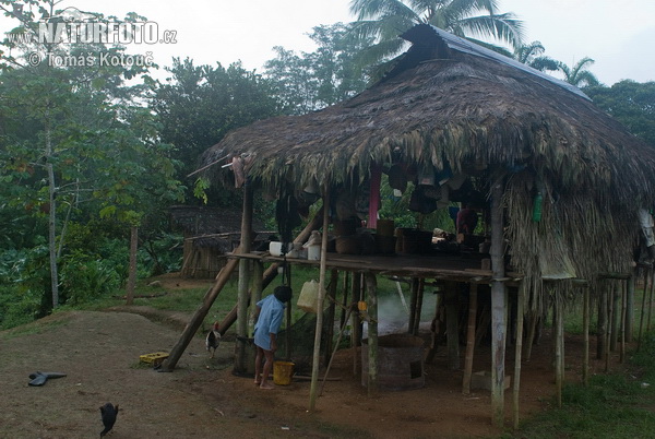 Embera