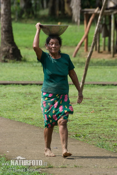 Embera