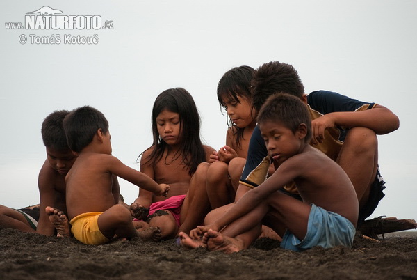 Embera