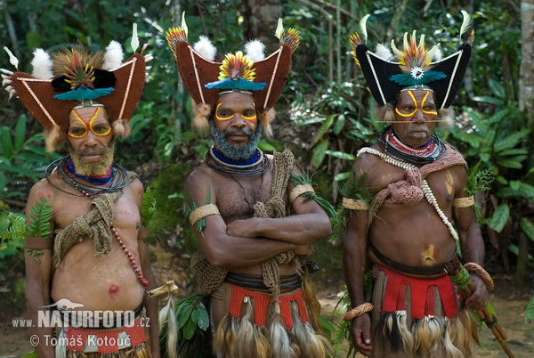 Huli Wigmen tribe (Huli Wigmen)