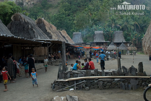 Ngada people (Ngada)