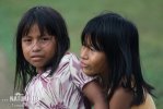 Embera