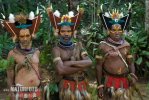 Huli Wigmen tribe