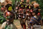 Huli Wigmen tribe