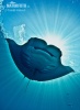 Reef manta ray