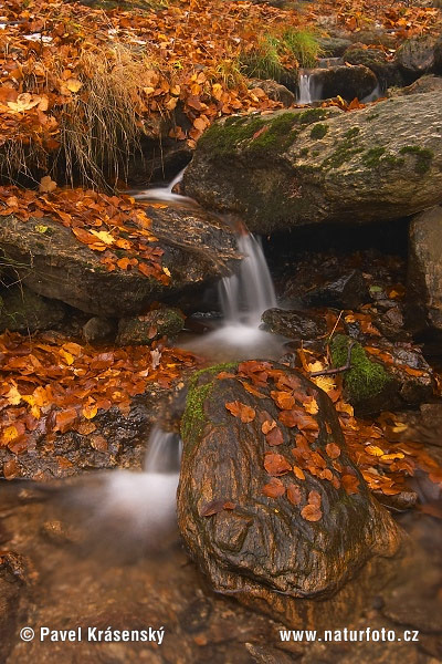 رشته کوه ارتس