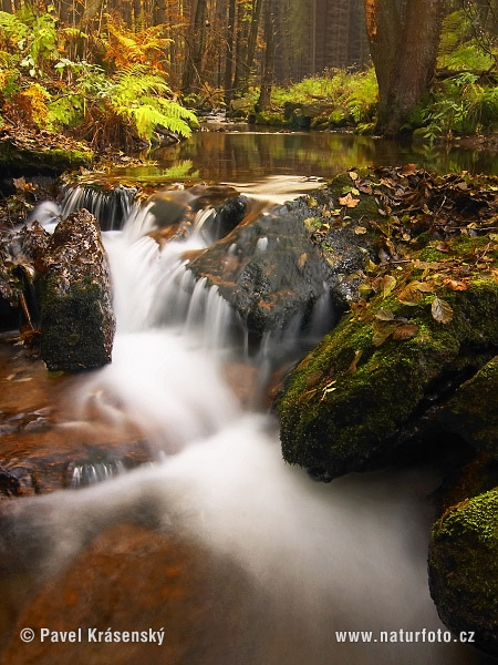 Monts Métallifères