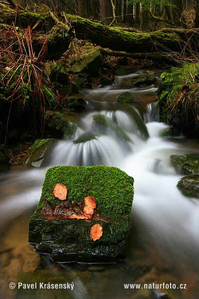 Monts Métallifères