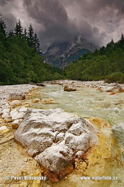 Slovenië