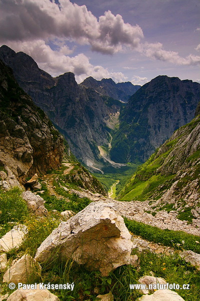 Slovenio