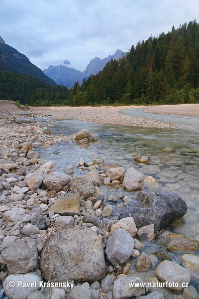 Sloveniya