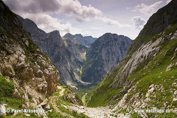 Slovenya