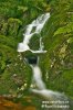 Monts des Géants