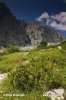 Slovenië