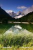 Slovenië
