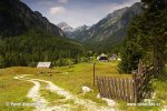 Slovenië