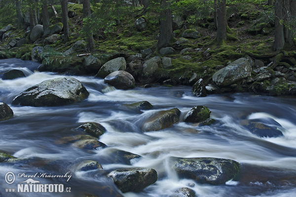 Чешка Шумава