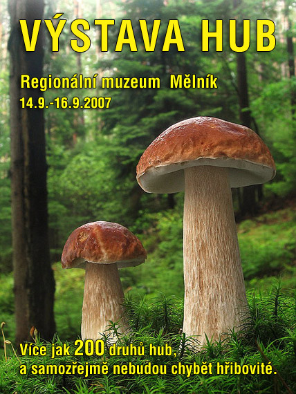 Mushroom exhibition - Melnik (CZ) 2007 (Regionalni muzeum)