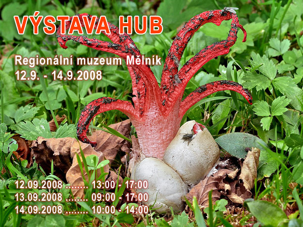 Mushroom exhibition - Melnik (CZ) 2008 (Regionalni muzeum)
