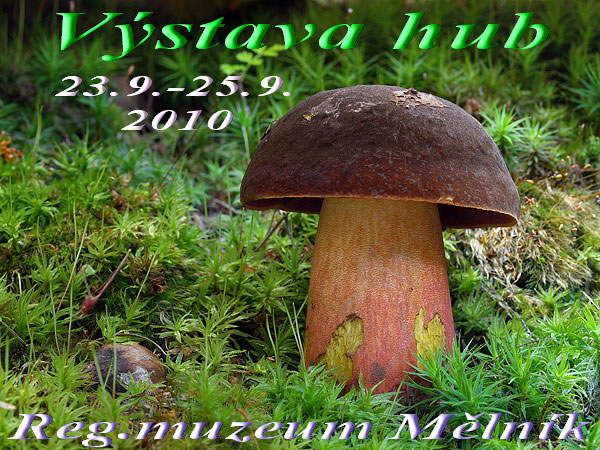 Mushroom exhibition - Melnik (CZ) 2010 (Regionalni muzeum)