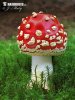 Amanita muscaria