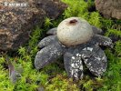 Barometer Earthstar