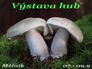 Mushroom exhibition - Melnik (CZ) 2012