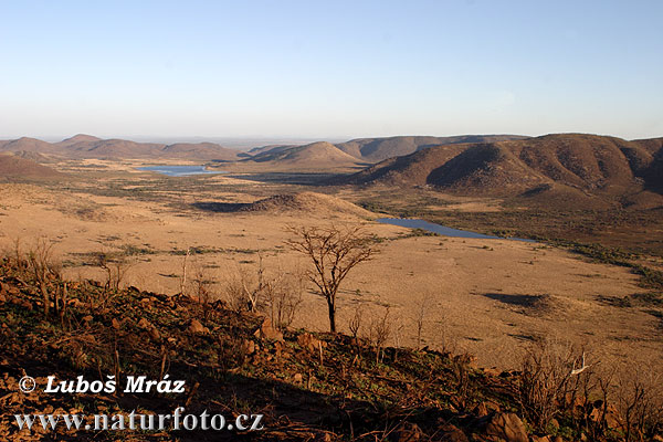 Afrika bagian selatan