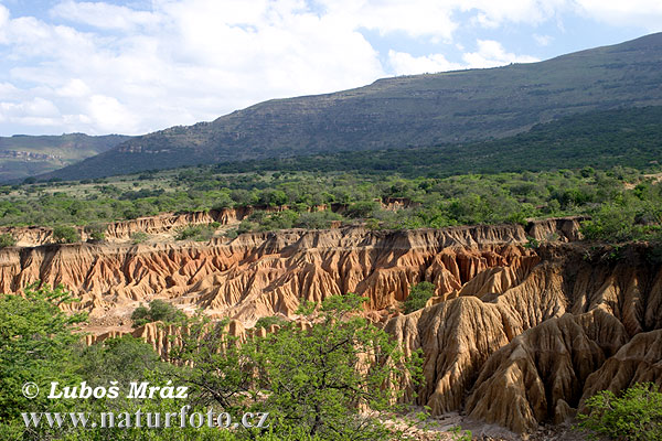 Afrika bagian selatan