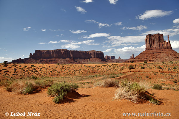 Arizona, USA