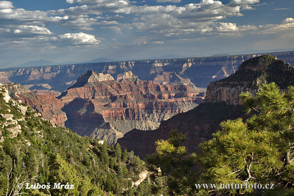 Arizona, USA