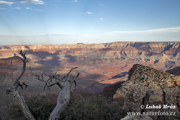 Arizona, USA