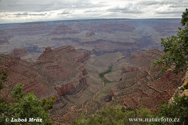 Arizona, USA