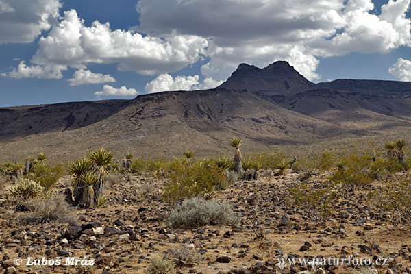 Arizona, USA