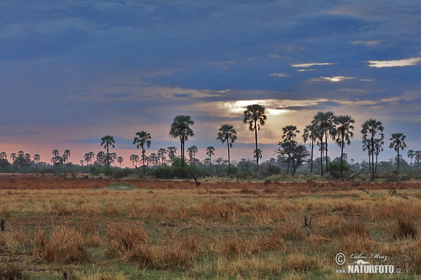 Botswana (BW)