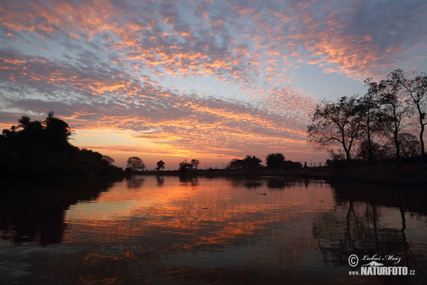 Brazil (Brasil, BR)