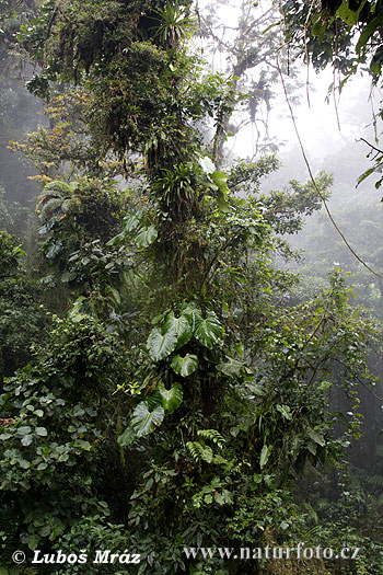 Costa Rica