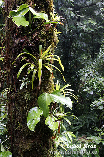 Costa Rica