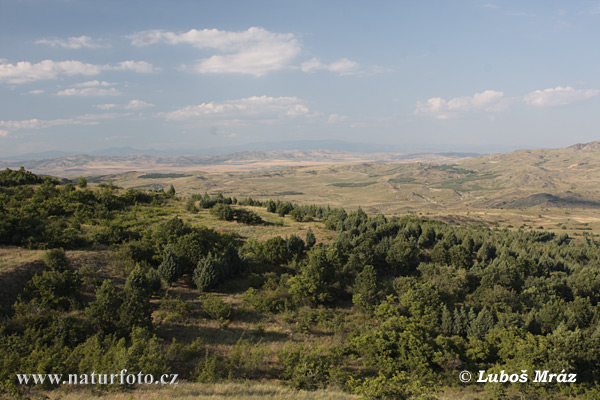 Cộng hòa Macedonia